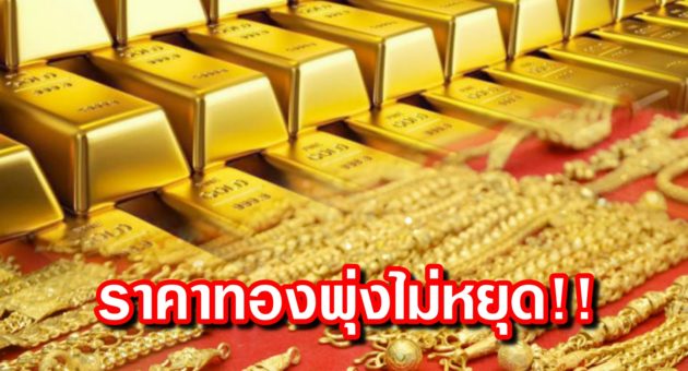 ปก ทอง