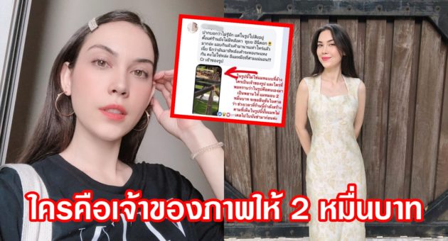 ปก แมท