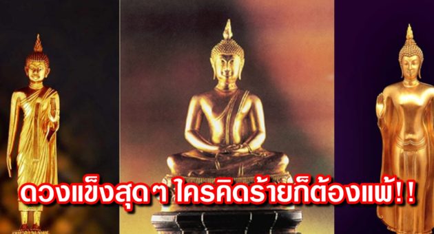 ปก ดวง