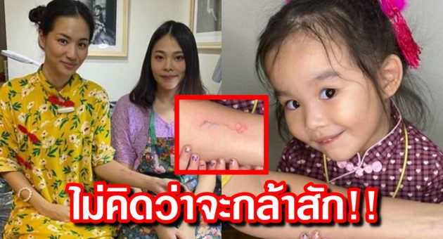 ปก ต่าย