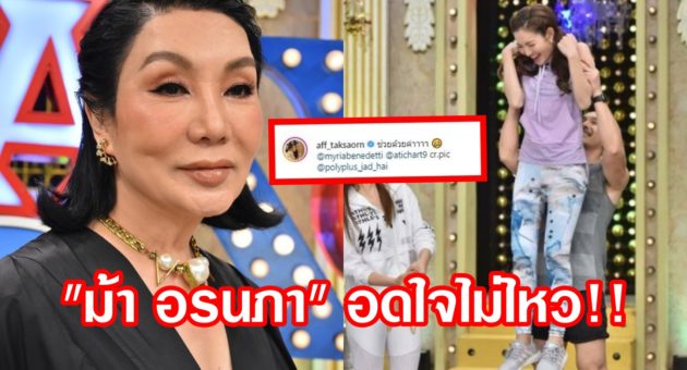 ปก ม้า