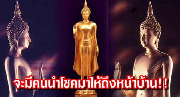 ปก ดวง