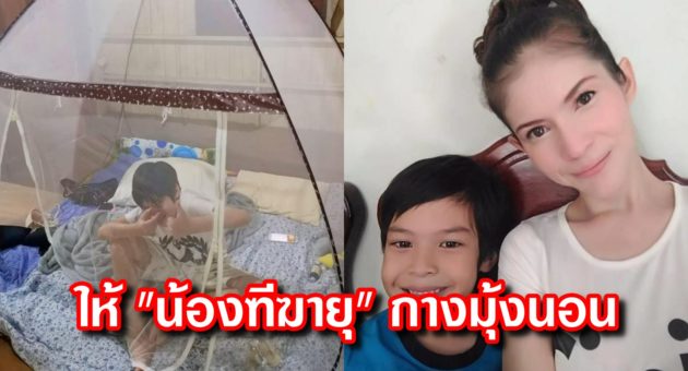 ปก แอนนี่