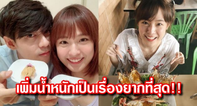 ปกแพทตี้