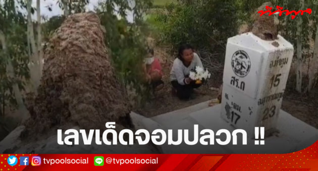 template ล่าสุดแล้วน้า อย่าเซฟทับเว้ย