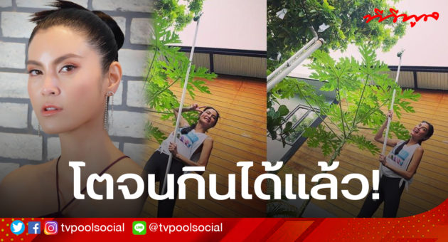 ปิ่น3