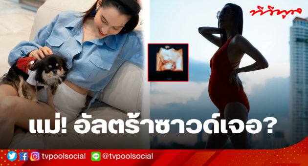 template ปกหยาด