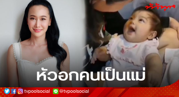 ปกกุ้งพลอย