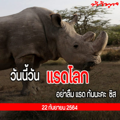 วันแรดโลก 22 กันยายน