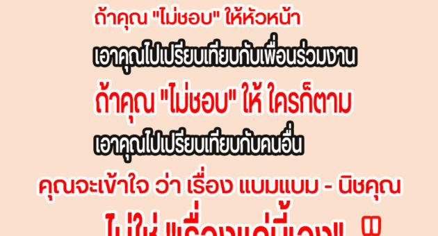 มีมแบมมดทีวีพูล
