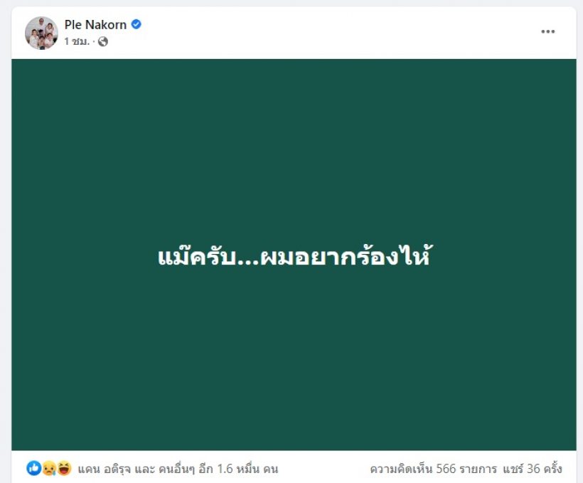 TV Pool Online