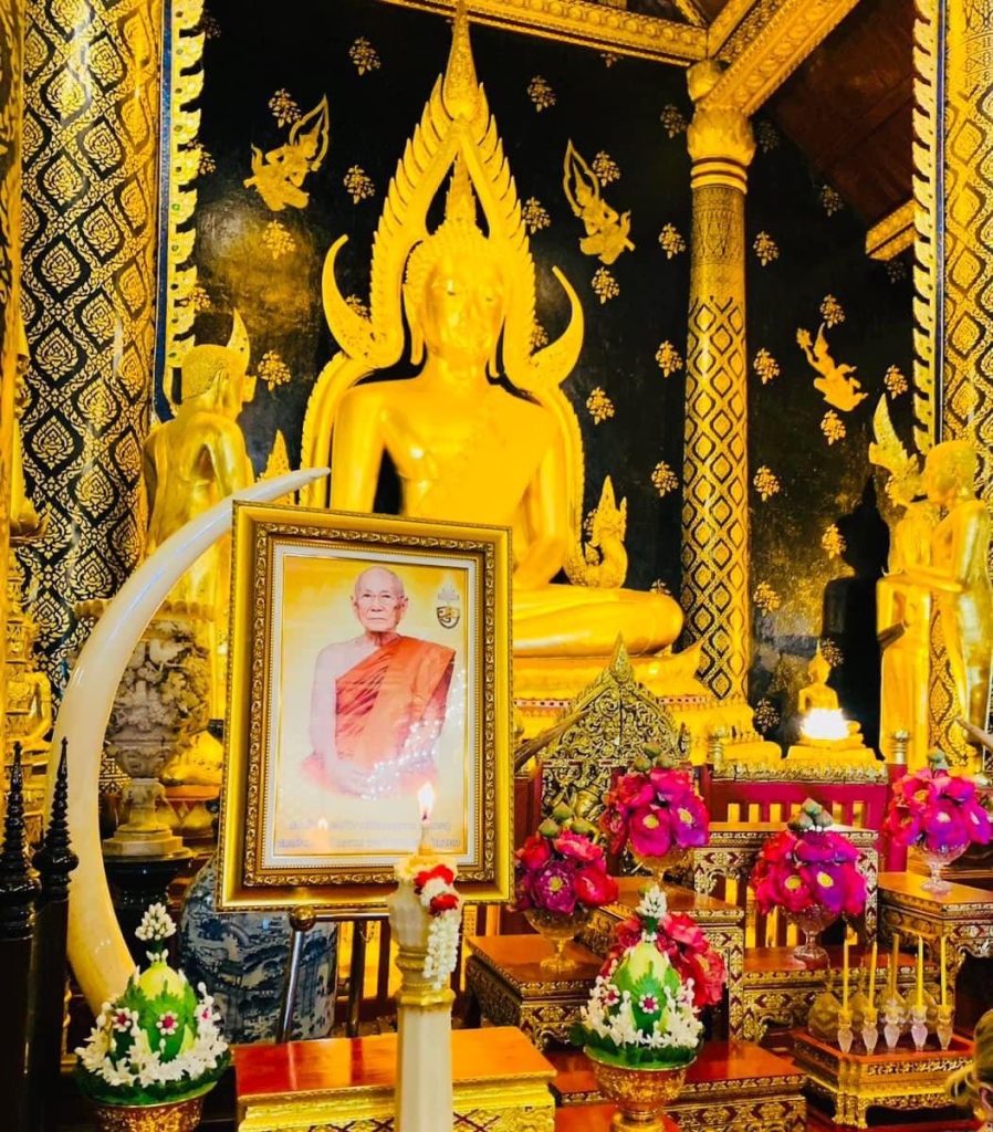 TV Pool Online