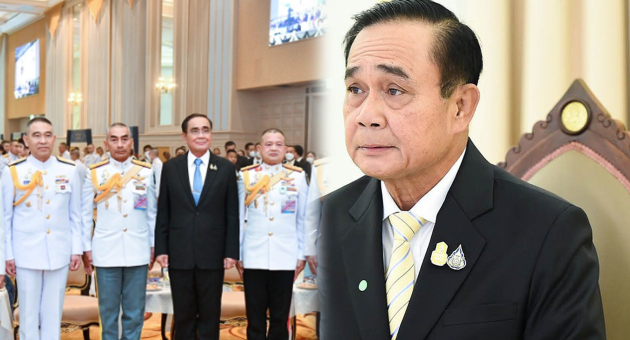 ปกดิบ