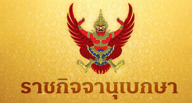 ปกดิบ