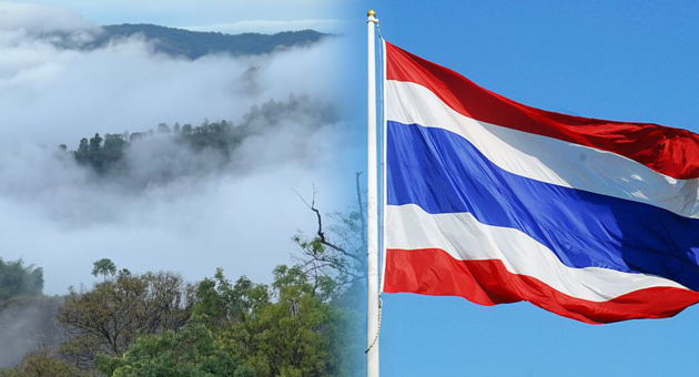 ปกดิบ