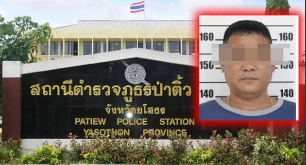 ปกดิบ