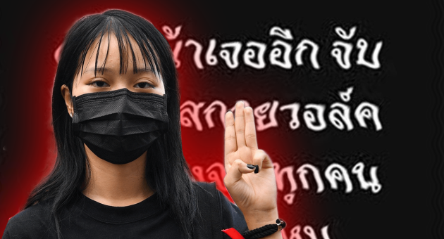 ปกดิบ