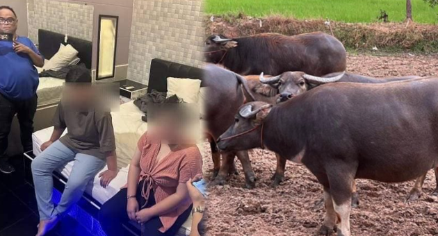 ปกเว็บฟหกไทีวีพูล