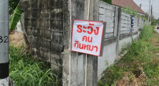 ระวังคนกินหมา